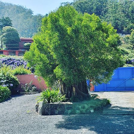 Casa El Porte Tegueste Bagian luar foto