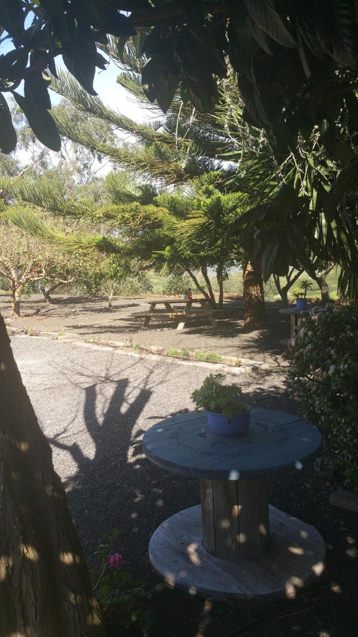 Casa El Porte Tegueste Bagian luar foto